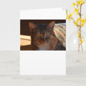 Jours lents, carte (Fleur jaune)