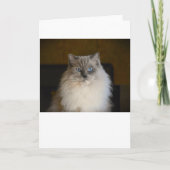 Jours lents, carte (Devant)