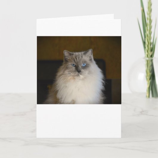 Jours lents, carte (Devant)