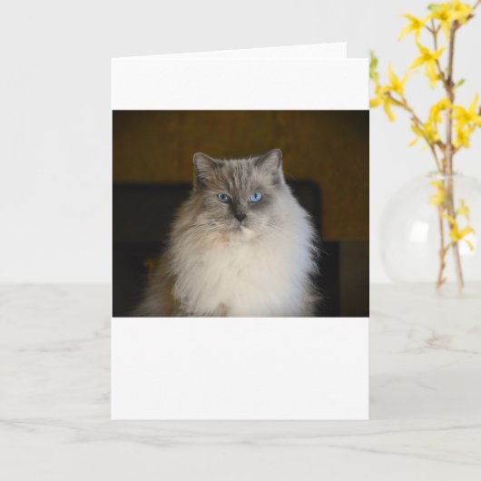 Jours lents, carte (Fleur jaune)