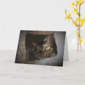 Jours lents, carte (Fleur jaune)