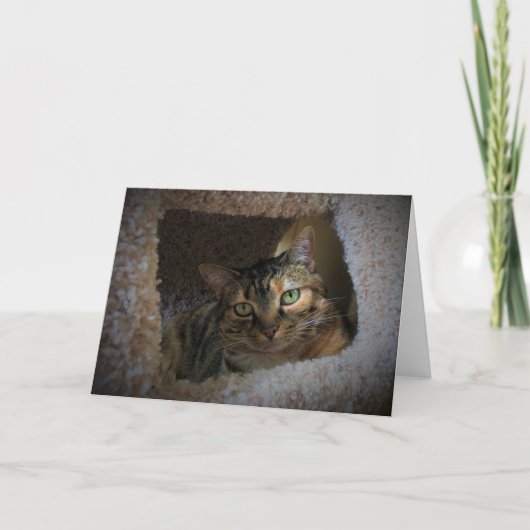 Jours lents, carte (Devant)