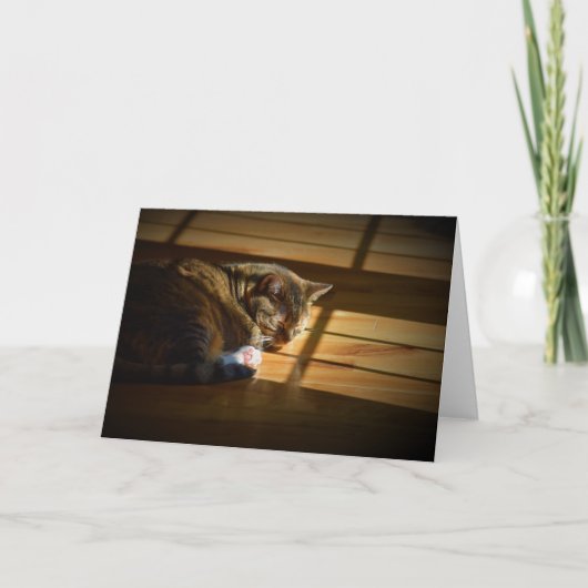 Jours lents, carte (Devant)