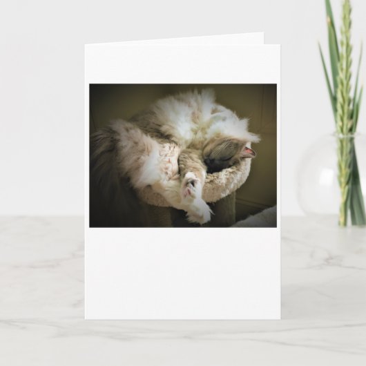 Jours lents, carte (Devant)