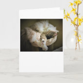 Jours lents, carte (Fleur jaune)