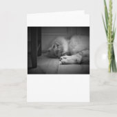 Jours lents, carte (Devant)