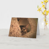 Jours lents, carte (Fleur jaune)