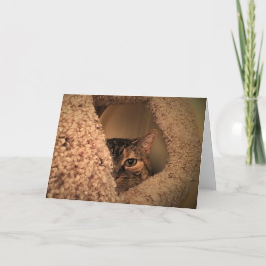 Jours lents, carte (Devant)