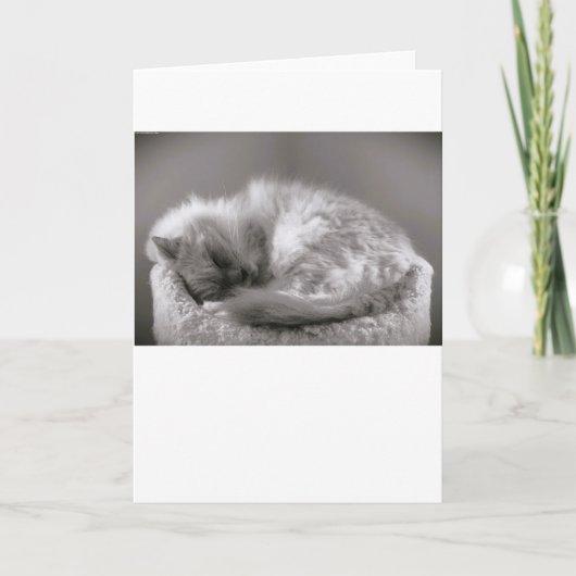 Jours lents, carte (Devant)