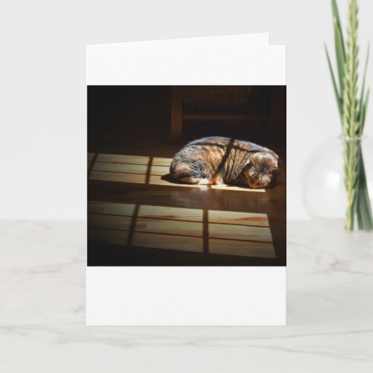 Jours lents, carte (Devant)