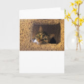 Jours lents, carte (Fleur jaune)