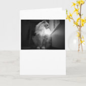 Jours lents, carte (Fleur jaune)