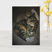 Jours lents, carte (Fleur jaune)