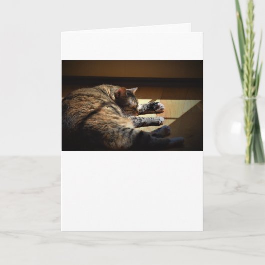 Jours lents, carte (Devant)