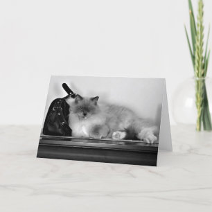 Jours lents, carte