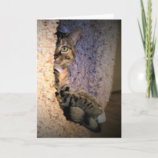 Jours lents, carte (Devant)