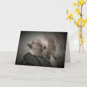 Jours lents, carte (Fleur jaune)