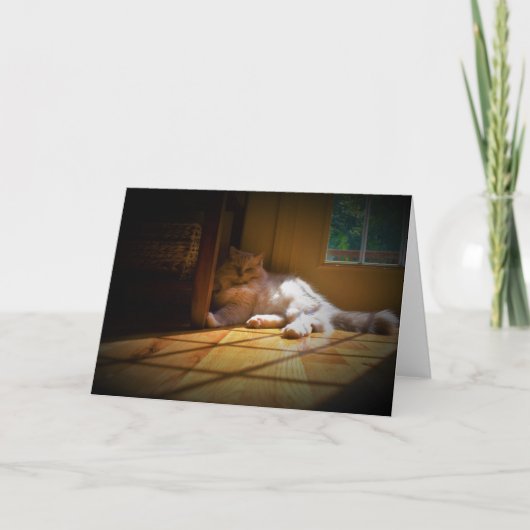 Jours lents, carte (Devant)