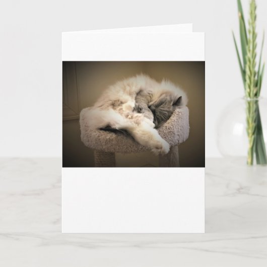 Jours lents, carte (Devant)