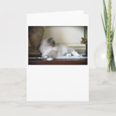 Jours lents, carte (Devant)