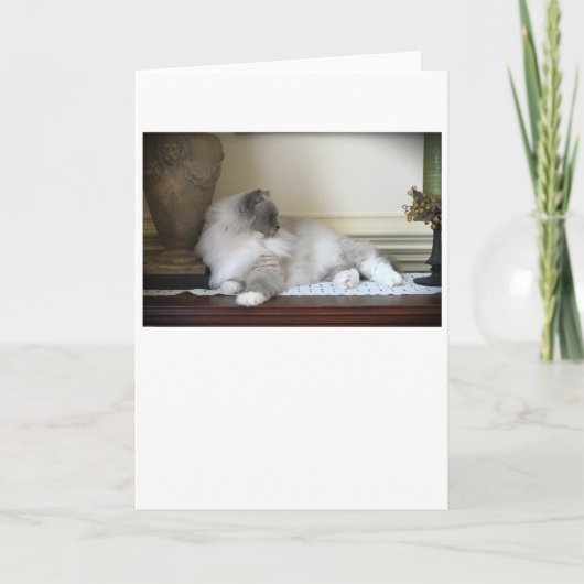 Jours lents, carte (Devant)