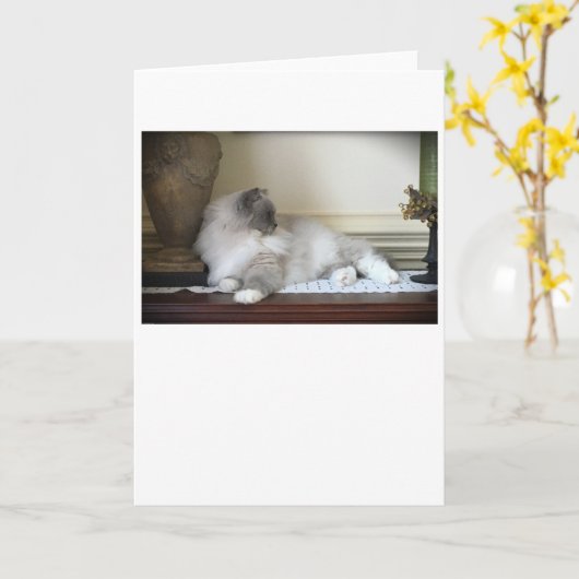 Jours lents, carte (Fleur jaune)