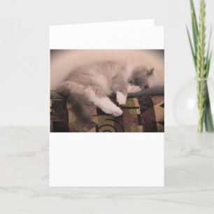Jours lents, carte