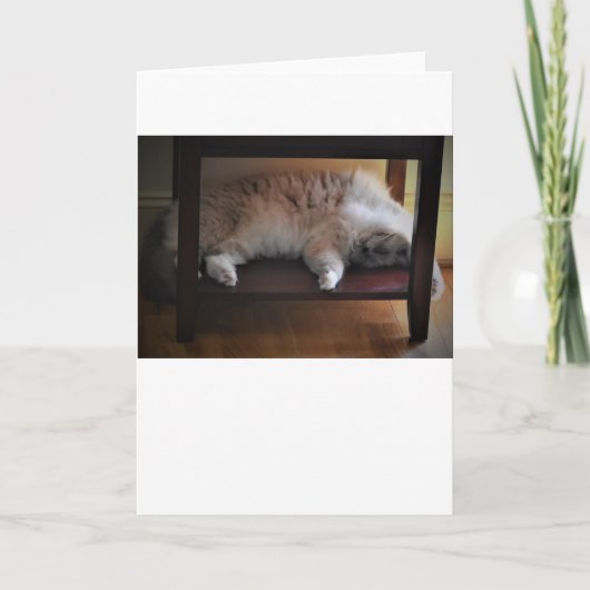 Jours lents, carte (Devant)