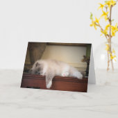 Jours lents, carte (Fleur jaune)