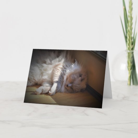 Jours lents, carte (Devant)