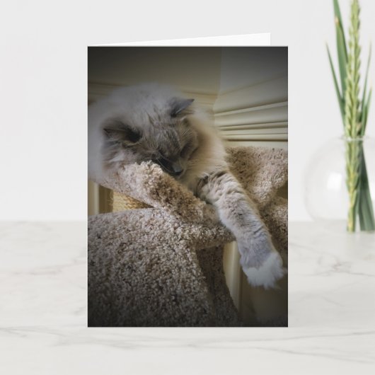 Jours lents, carte (Devant)