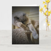 Jours lents, carte (Fleur jaune)