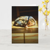 Jours lents, carte (Fleur jaune)