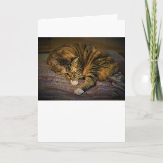 Jours lents, carte (Devant)