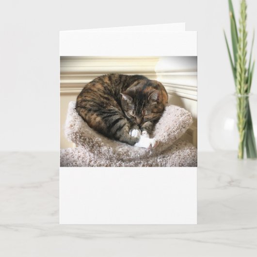 Jours lents, carte (Devant)