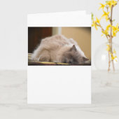 Jours lents, carte (Fleur jaune)