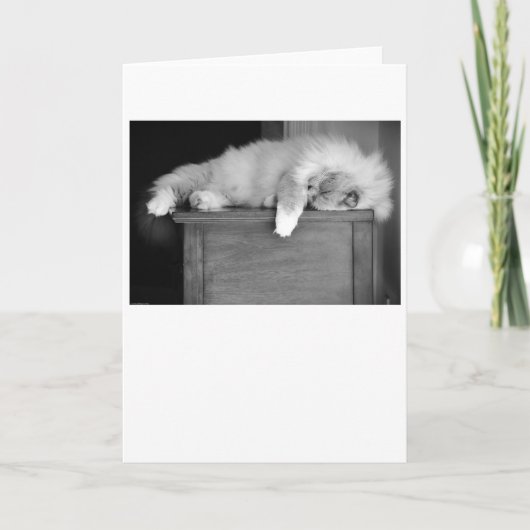 Jours lents, carte (Devant)