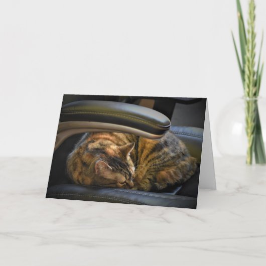 Jours lents, carte (Devant)