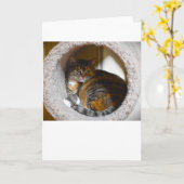 Jours lents, carte (Fleur jaune)