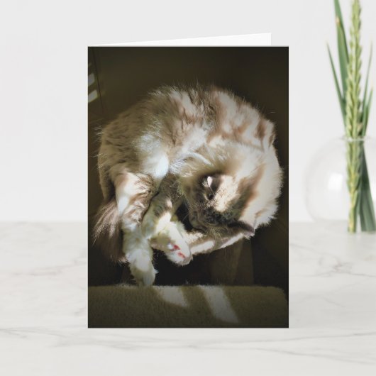 Jours lents, carte (Devant)