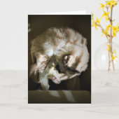 Jours lents, carte (Fleur jaune)