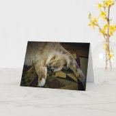 Jours lents, carte (Fleur jaune)