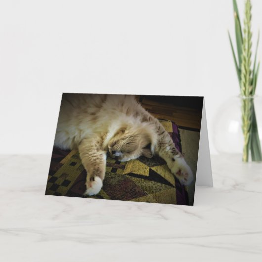 Jours lents, carte (Devant)