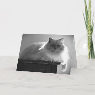 Jours lents, carte