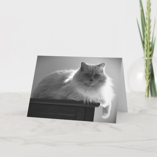 Jours lents, carte (Devant)