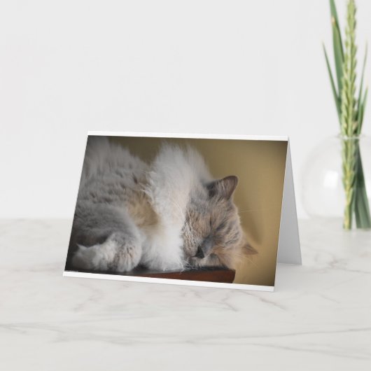 Jours lents, carte (Devant)