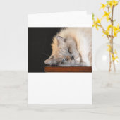 Jours lents, carte (Fleur jaune)