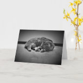 Jours lents, carte (Fleur jaune)