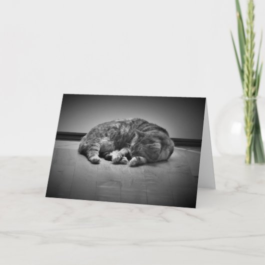 Jours lents, carte (Devant)