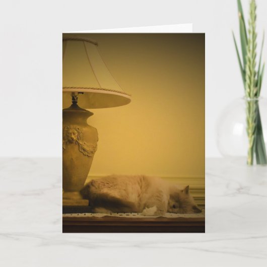 Jours lents, carte (Devant)